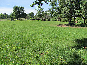 Vronis Gnadenhof Innenweide links 2