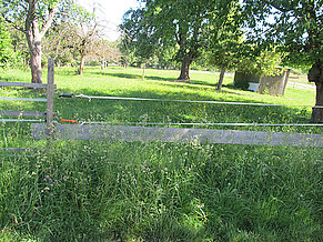Vronis Gnadenhof Innenweide links 1