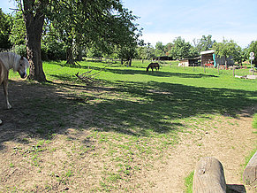 Vronis Gnadenhof Innenweide rechts 1