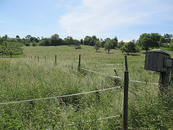 Vronis Gnadenhof Aussenweide links