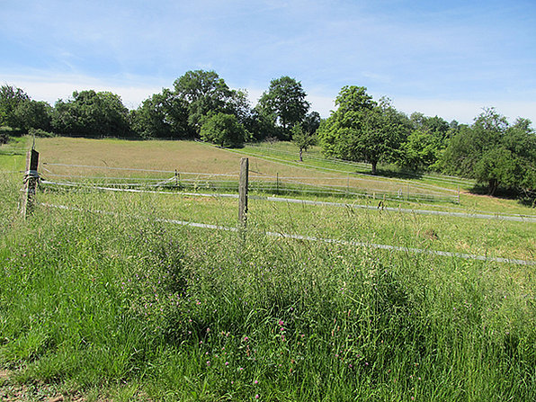 Vronis Gnadenhof Aussenweide rechts